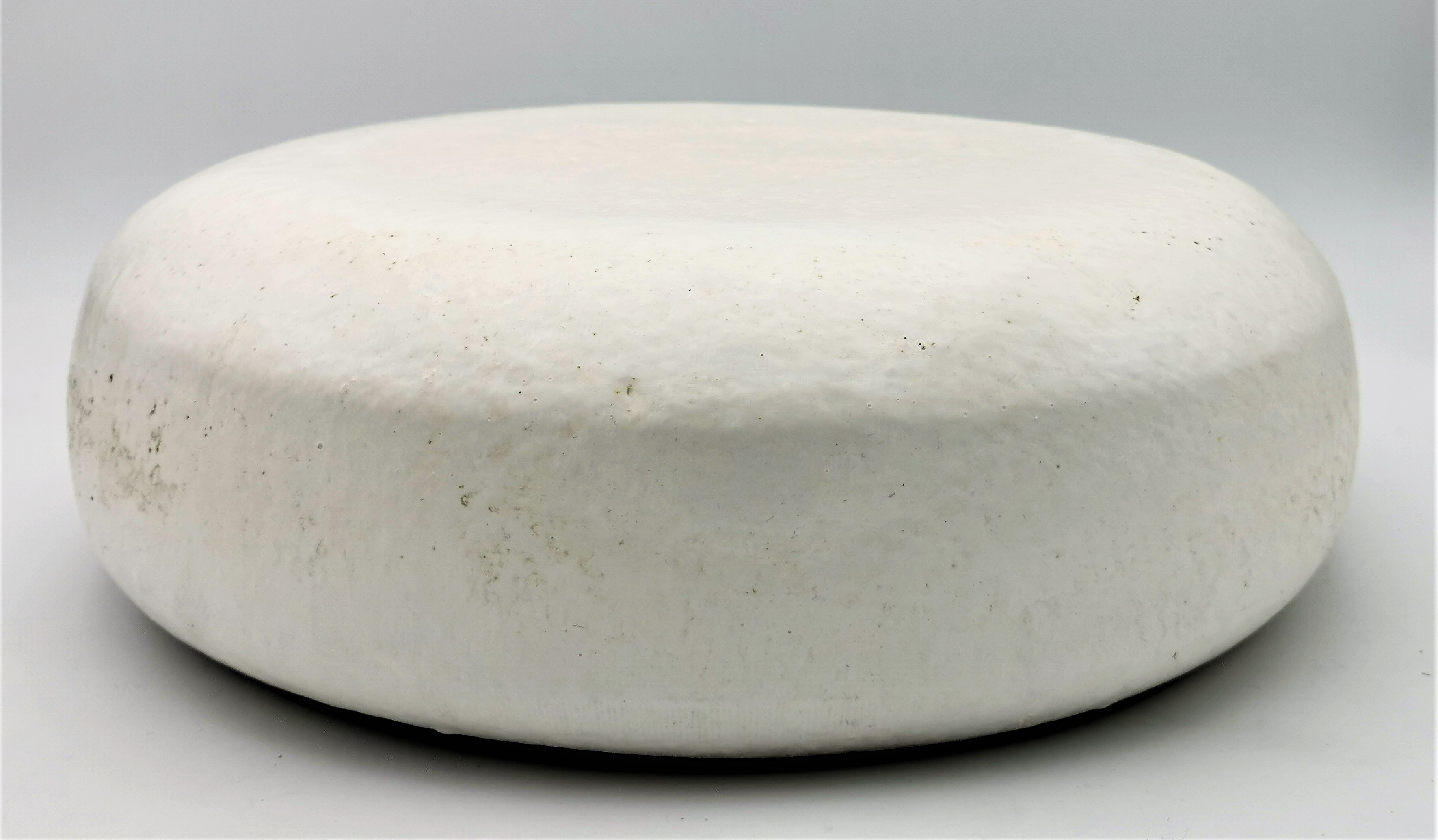 GOUDA CHEVRE VIEUX